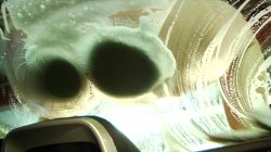 'Banging Wet Asses' screenshot nº 58