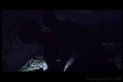 Captura de 'Night of the Living Whores' nº 23