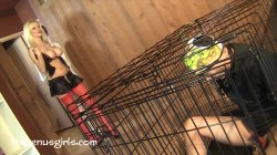 'Help My Bitch Turned Me Into A Gay Cum Bucket' screenshot nº 105