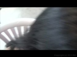 '2 Older Chicks With Interracial Dicks' screenshot nº 4