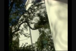 'Devoured' screenshot nº 33