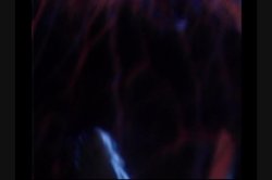 'Devoured' screenshot nº 10