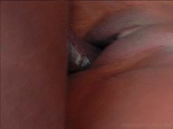 'Big Butt Auditions 2' screenshot nº 117
