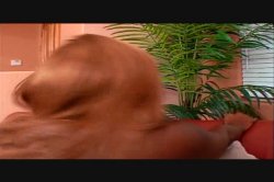 Captura de 'Big Phat Wet Ass Orgy 4' nº 32