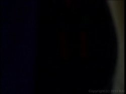 'Nina Hartley's Private Sessions 9' screenshot nº 100