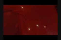 Captura de 'Rubber Sensations' nº 86
