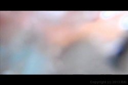 Captura de 'Vivid's Award Winners: Best Three-Way Sex Scene' nº 10