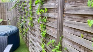 A Taste For Heavy Hitters - Scene2 - 6