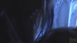 Captura de 'Predator III: The Final Chapter' nº 19
