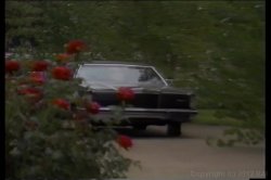 Captura de 'Ginger Lynn the Movie' nº 54