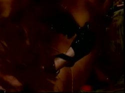Captura de 'Sluts From the O.C.' nº 96