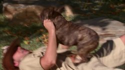 'Cougar Hunter, The' screenshot nº 2