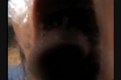 'Pop Shots #6' screenshot nº 40