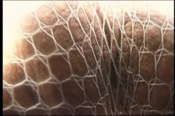 Captura de 'Anal Divas' nº 67