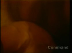 Captura de 'Cecil Howard's The Last X-Rated Movie 3' nº 105