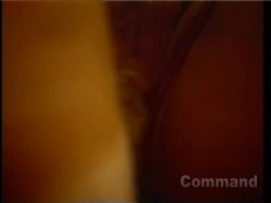 Captura de 'Cecil Howard's The Last X-Rated Movie 3' nº 17
