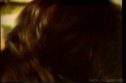 'Lotsa Top' screenshot nº 128