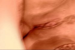 'Horny Trailer Park Mothers' screenshot nº 60