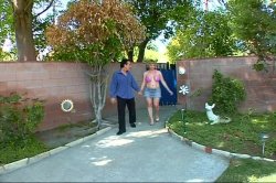 'Horny Trailer Park Mothers' screenshot nº 66