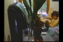 Captura de 'Bum Plumber' nº 104