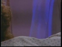 Captura de 'Legends - Christy Canyon' nº 19