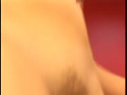 Captura de 'Violation Of Harmony, The' nº 19