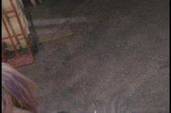 'Wicked Legends 3' screenshot nº 84