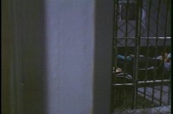 'Stars Behind Bars' screenshot nº 69