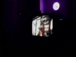 'South Of The Border' screenshot nº 126
