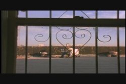 'Obsession (Vivid)' screenshot nº 39