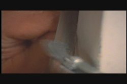 'Obsession (Vivid)' screenshot nº 69