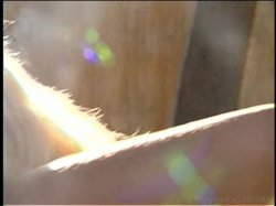Captura de '69 Scenes: Lesbian Orgies' nº 101