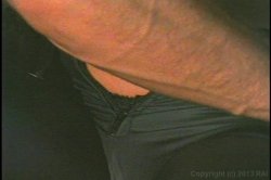 Captura de 'Bumper to Bumper' nº 67
