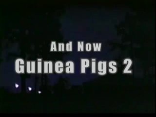 Guinea Pigs II - Scena1 - 1
