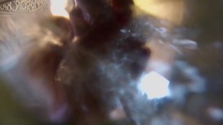 Blondes Gift 3 Part 1 - Scena2 - 6