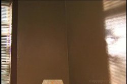 Captura de 'Carnal Coeds - Girls of the Dean's List' nº 128