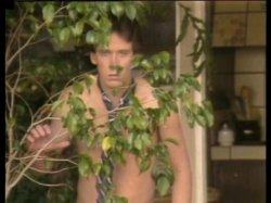 Captura de 'Golden Age of Porn, The: Ginger Lynn' nº 60