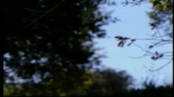 'Nookie Ranch - Softcore' screenshot nº 41