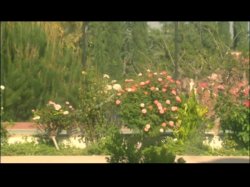 'Lover's Choice' screenshot nº 7