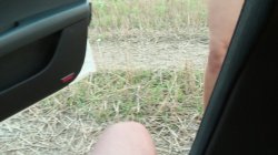 'Stranded Teens.com #6' screenshot nº 58