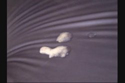 'Stuff My Ass Full Of Cum 8' screenshot nº 95