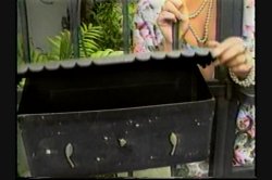 'Anal Vision 15' screenshot nº 119