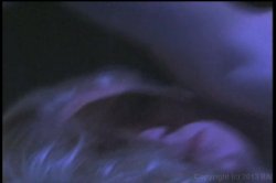 Captura de 'Girls of Anal Valley' nº 74