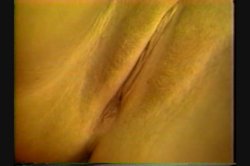 'Hollywood Teasers 2' screenshot nº 69