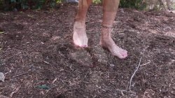 Captura de 'Foot Fetish Daily Vol. 42: Dirty Feet' nº 80