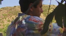 '10s Group Sexxx 4' screenshot nº 9