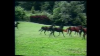 Angel Love - Escena4 - 2