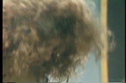 'Hermaphrodites - The Lost Footage' screenshot nº 43
