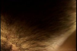 'POV Casting Couch 9' screenshot nº 77