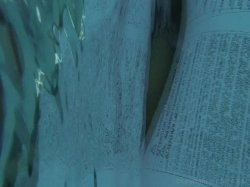 Captura de 'Massive Wet Asses 5' nº 2